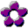 Application violette